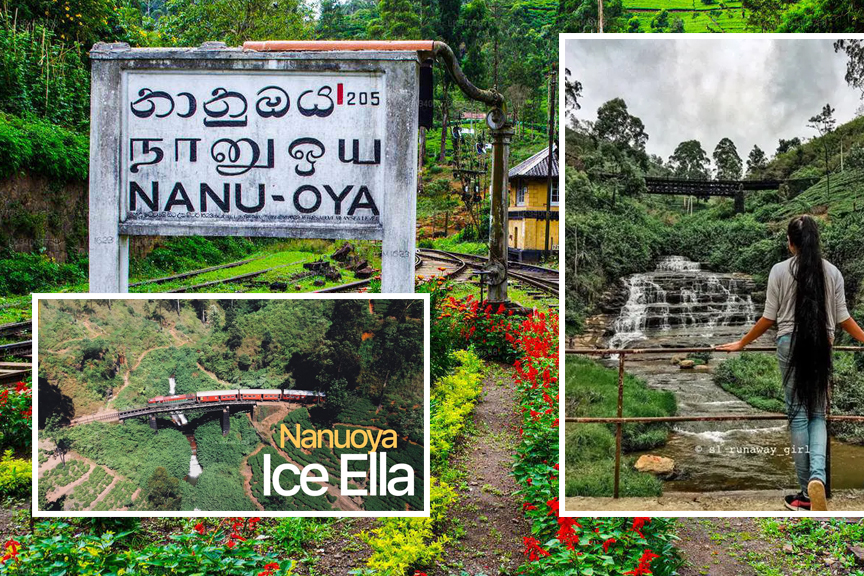 Up country 7 days tour